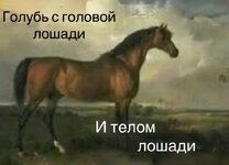 Screenshot_20250417_213150.jpg