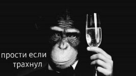 1648313098_3-kartinkof-club-p-mem-prosti-chto-trakhnul-3.jpg