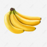 Banan_Shintaro